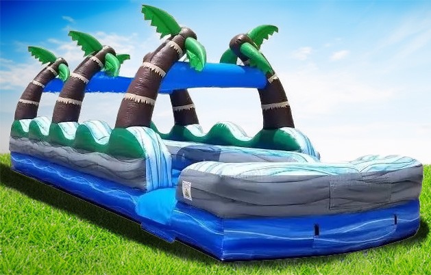 Tropical Dual Lane Slip-N-Slide